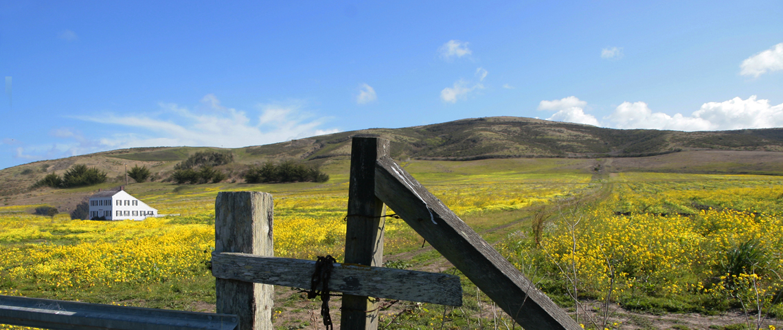 Coastal hills in bloom in Spring