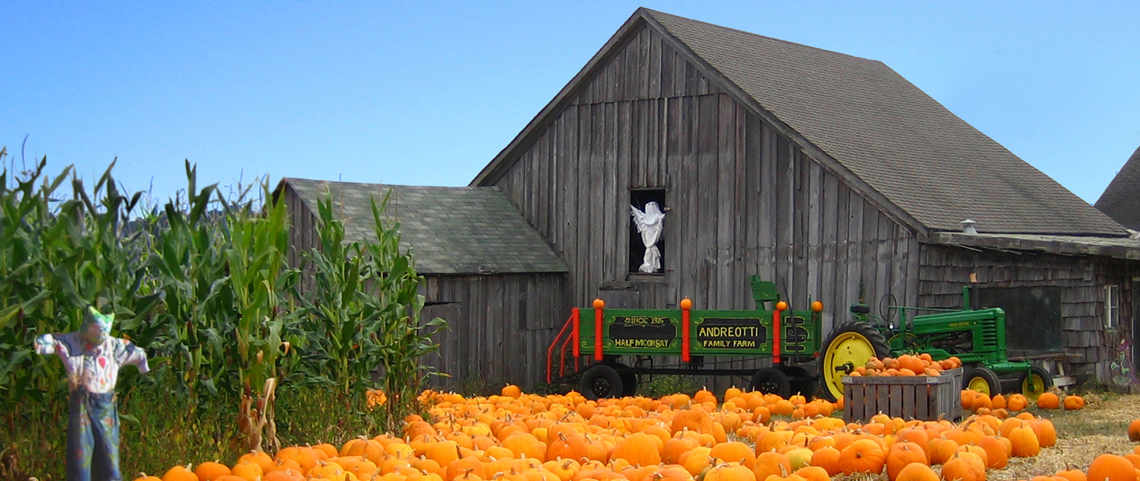 Barn with pumpkins