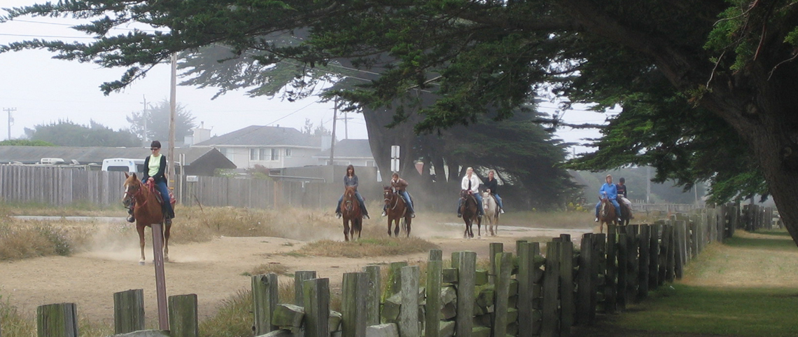 Coastal horseback ride
