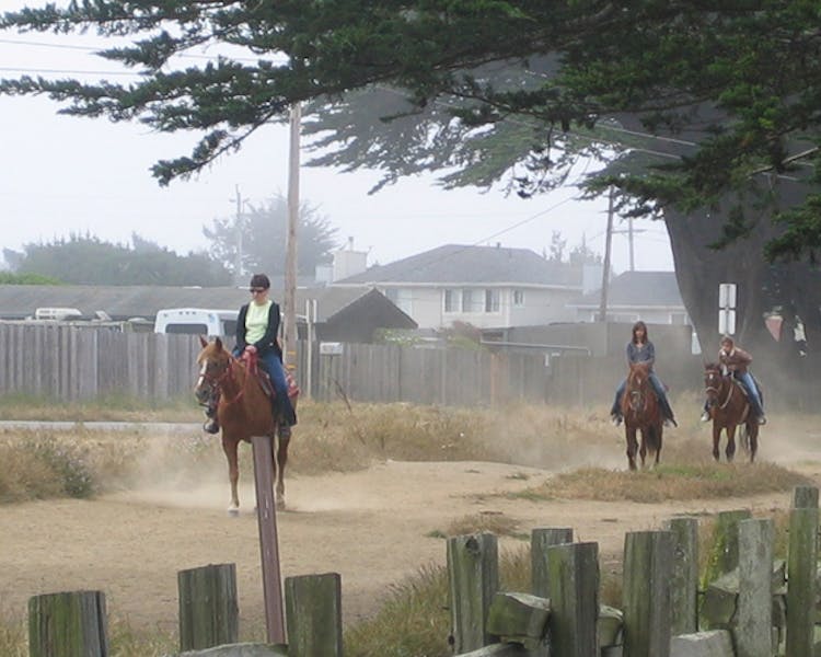 Coastal horseback ride