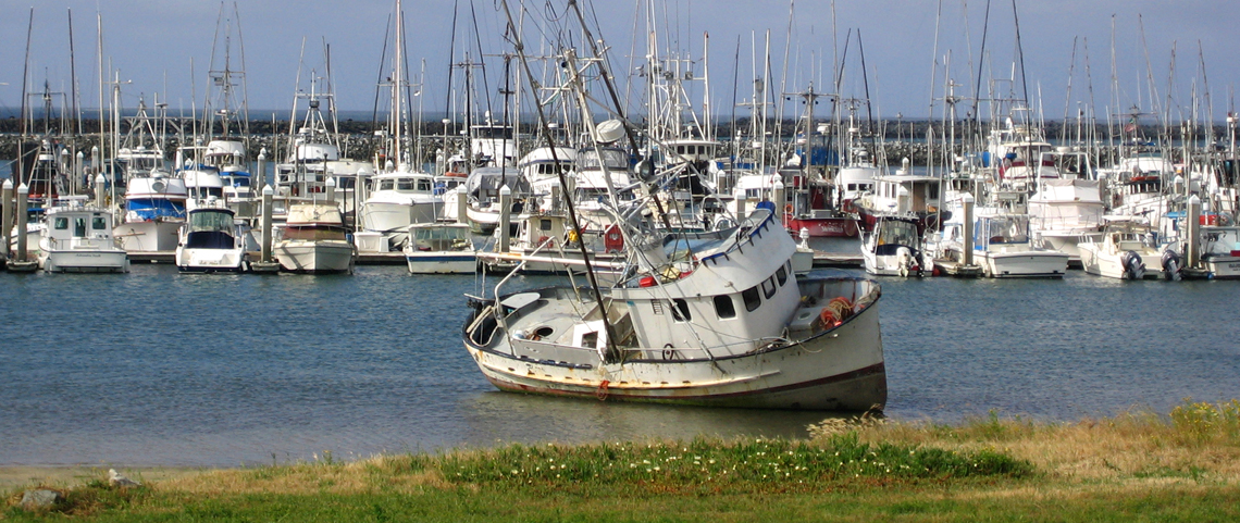 Boats in Pillar Point Harbor