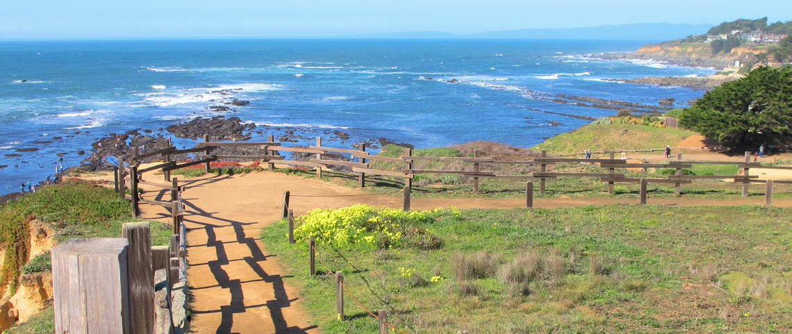 Coastal walking path above ocean