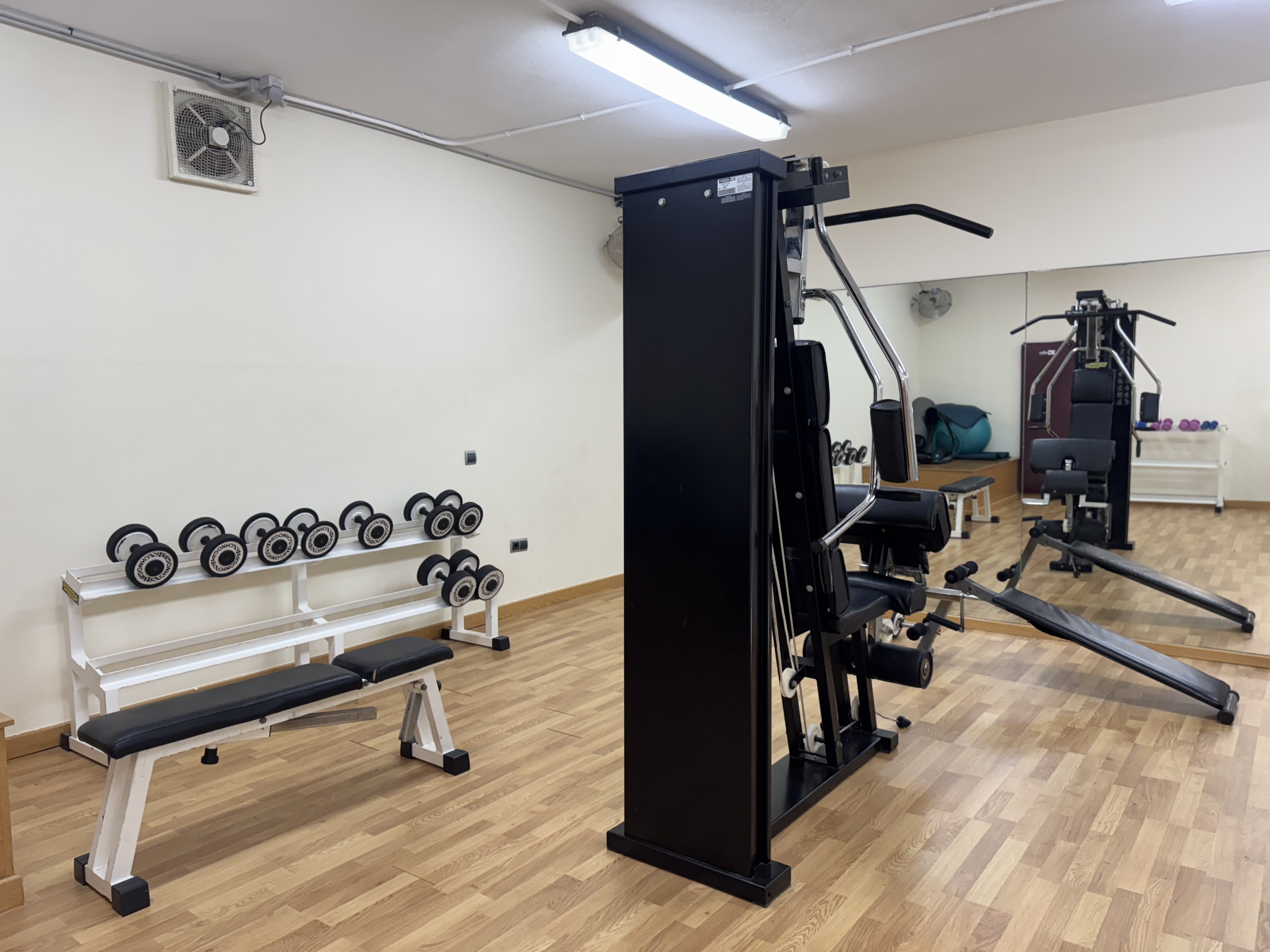 Gimnasio