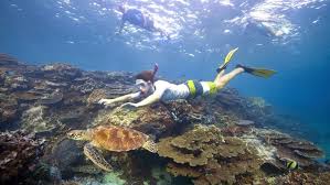 Great Barrier Reef - Lady Elliot Island