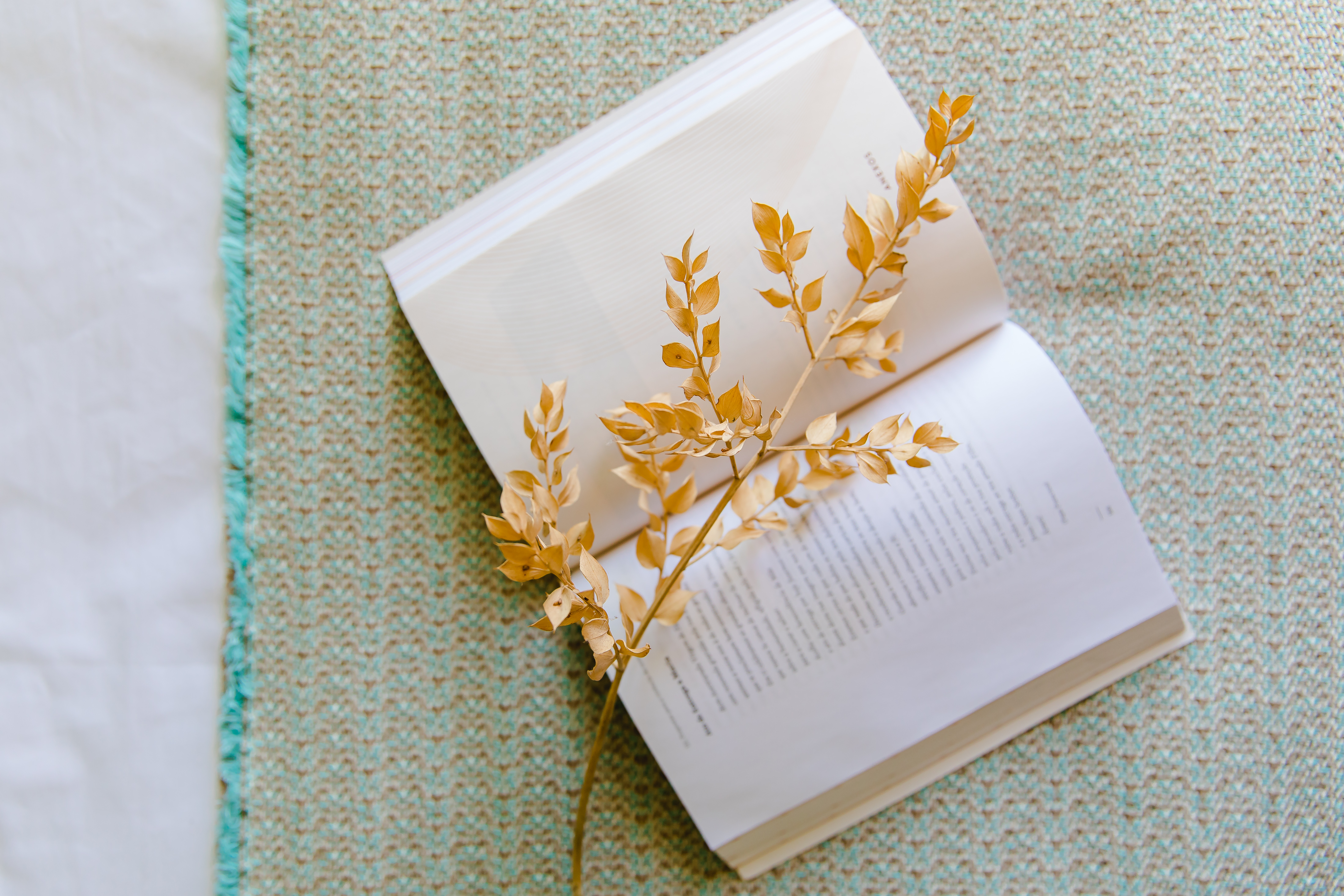 Design Suite/Room Hotel Santo António de Fátima