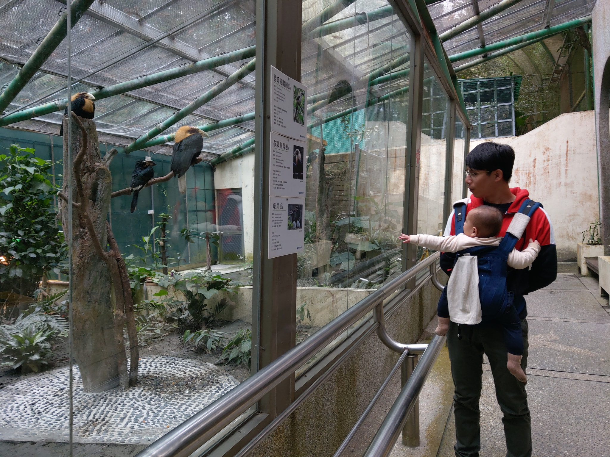 溪頭住宿推薦，溪頭民宿金台灣山莊，溪頭小木屋，杉林溪住宿推薦，週邊景點推薦，鳳凰谷鳥園，親子推薦景點
