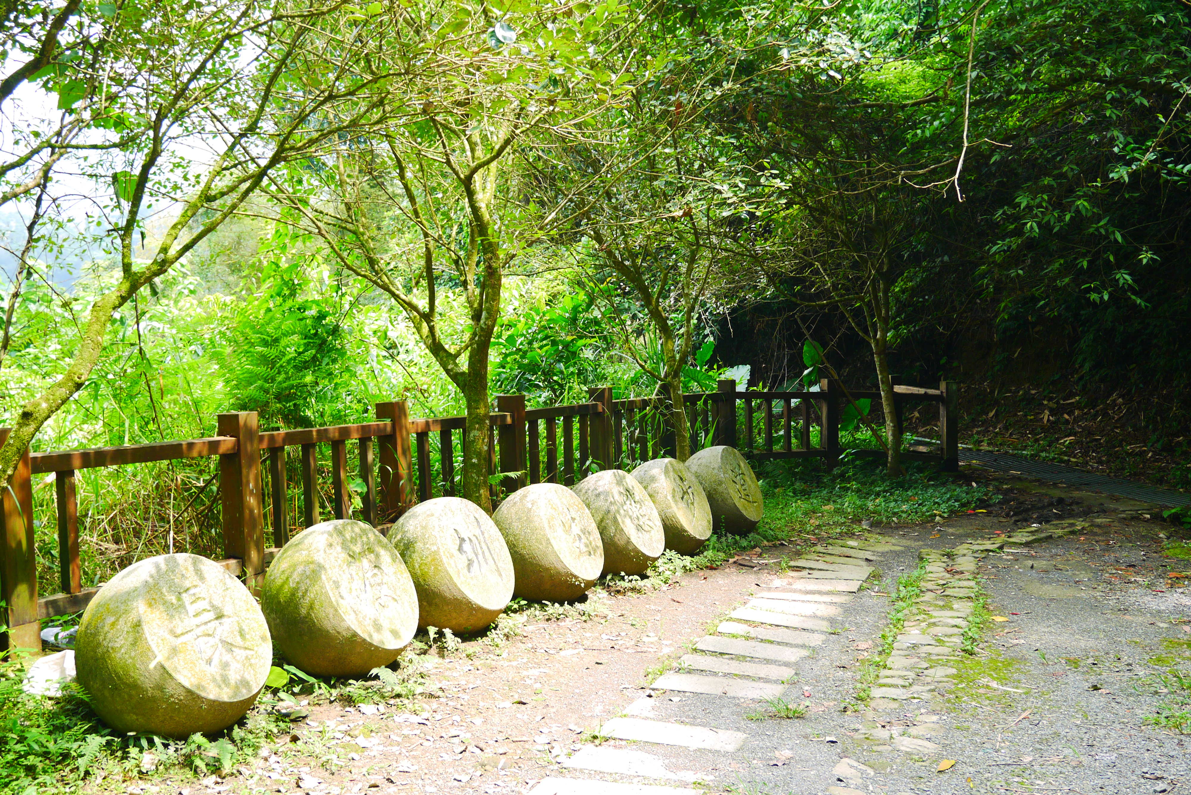 溪頭住宿推薦，溪頭民宿金台灣山莊，溪頭小木屋，杉林溪住宿推薦，週邊景點推薦，小半天，長源圳步道，竹林秘境