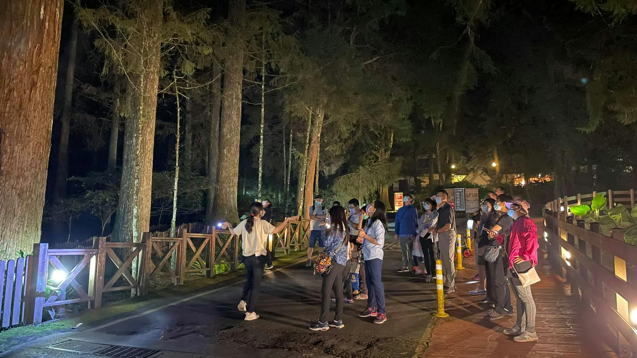 森林邦活動森之月，溪頭森林遊樂區夜間導覽，住宿金台灣山莊加購活動，溪頭景點