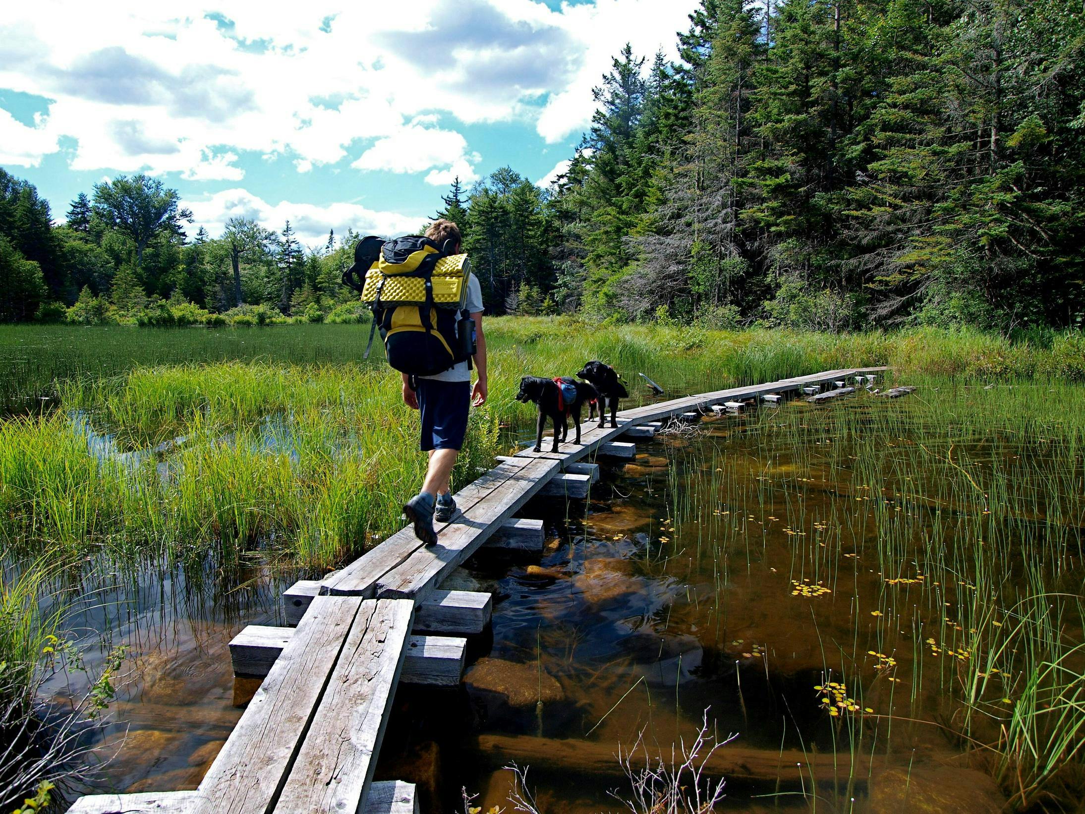 Hiking Trails Aspen Manchester VT