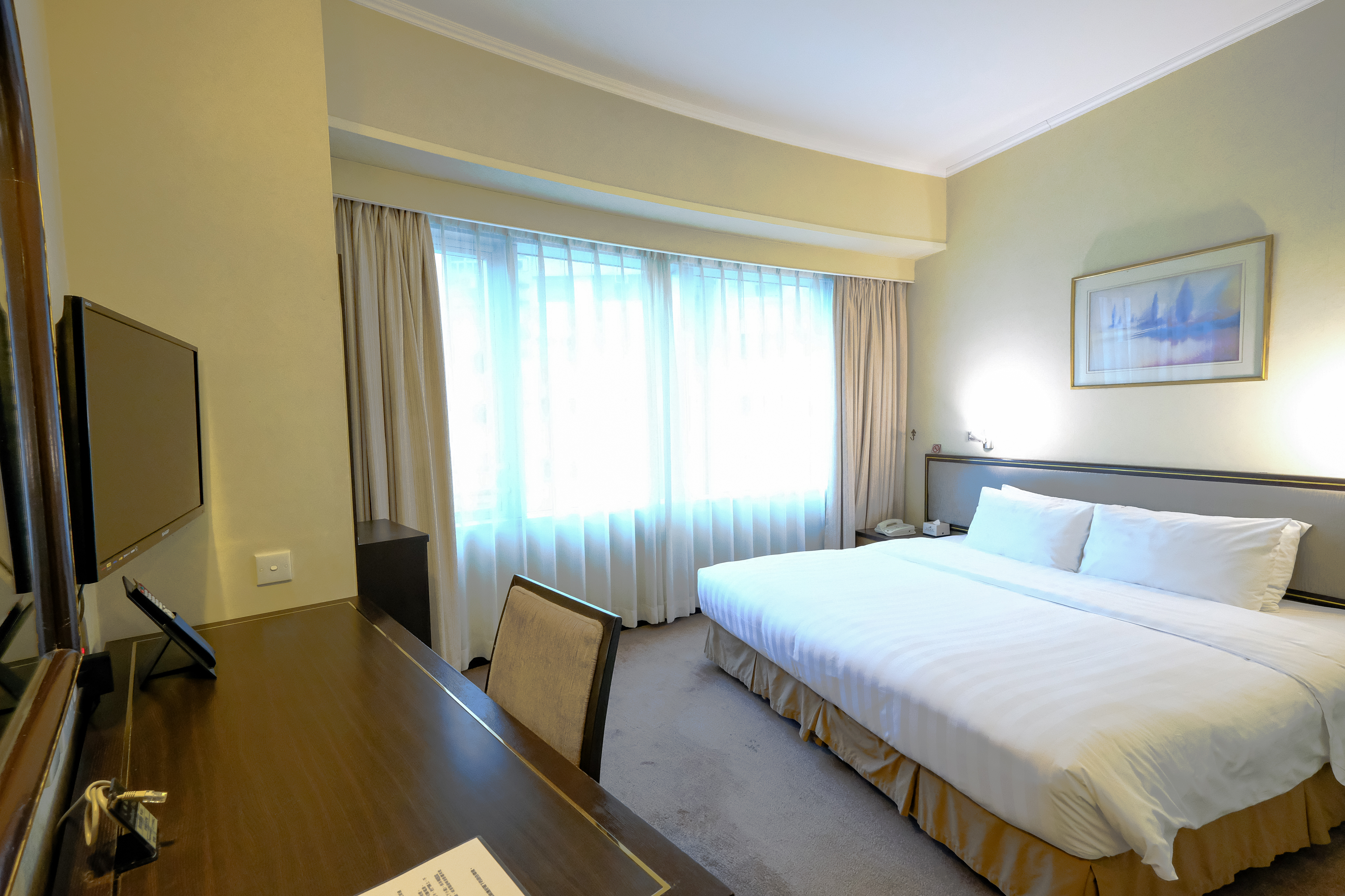 Standard - Double / Twin