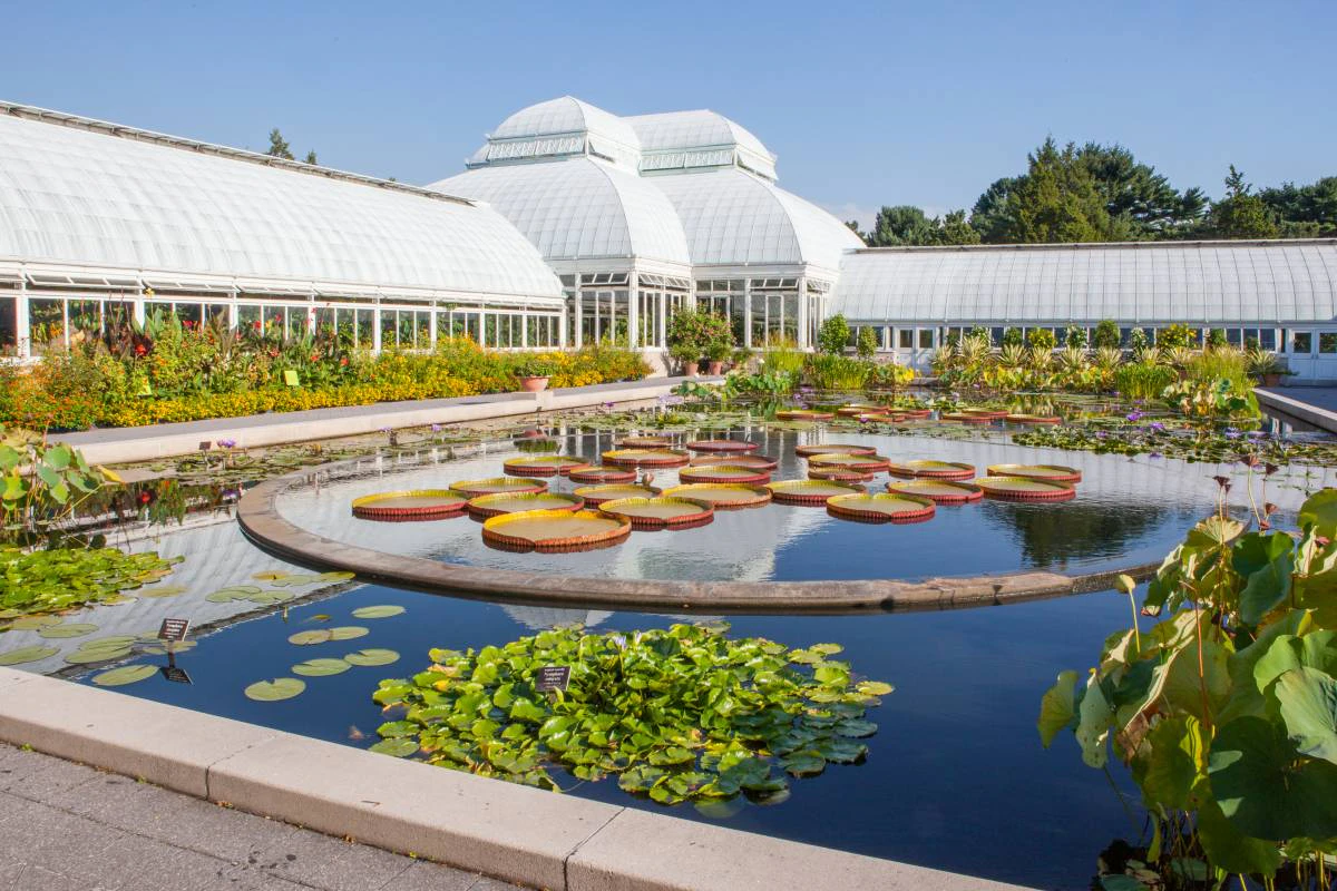 A large greenhouse with a pond in front of it.