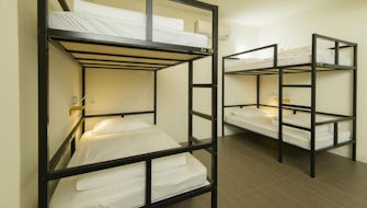 Bunk Bed in Female Dormitory Room(Room Assigned Up