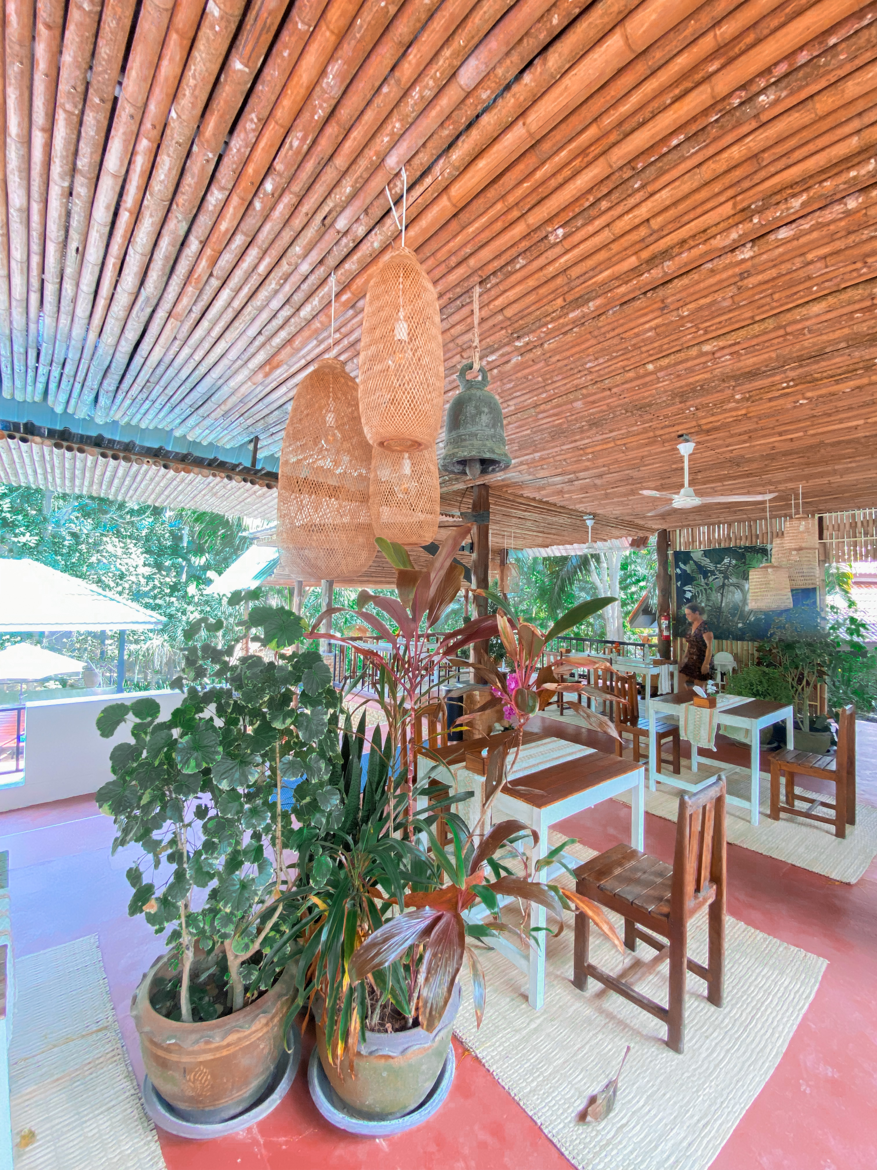 Food, Jungle Hut, Wines, Breakfast, Lunch, Dinner,