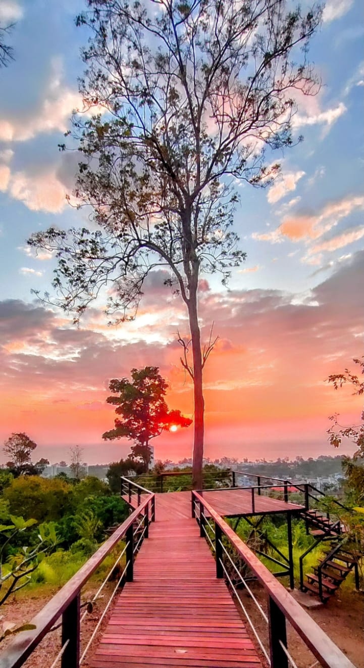 Viewpoint Jungle Vip, Menu, Drinks, Food, Restaurant, Music, Live Music, Sunsets,