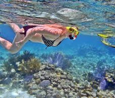 muri-beachcomber-rarotonga-snorkelling-lagoon