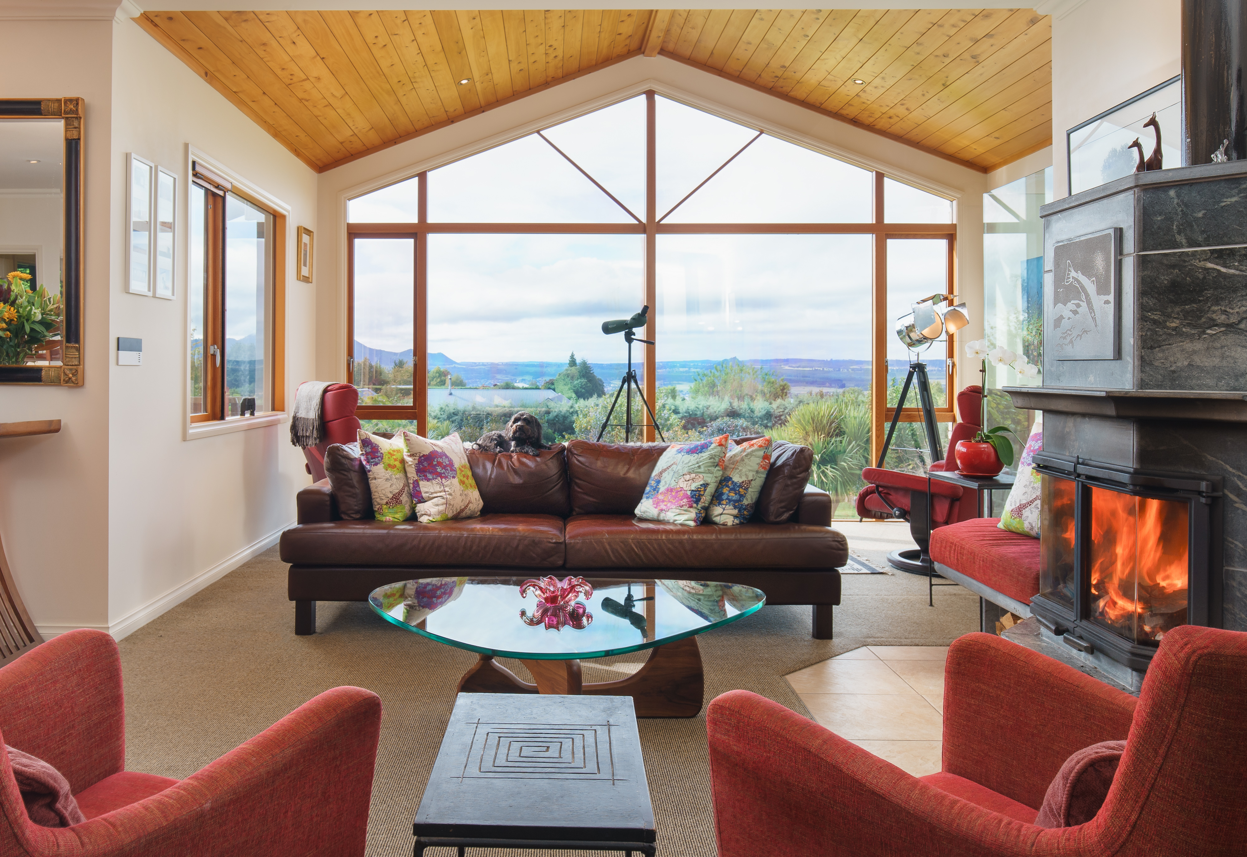 guest lounge with Bella the dog