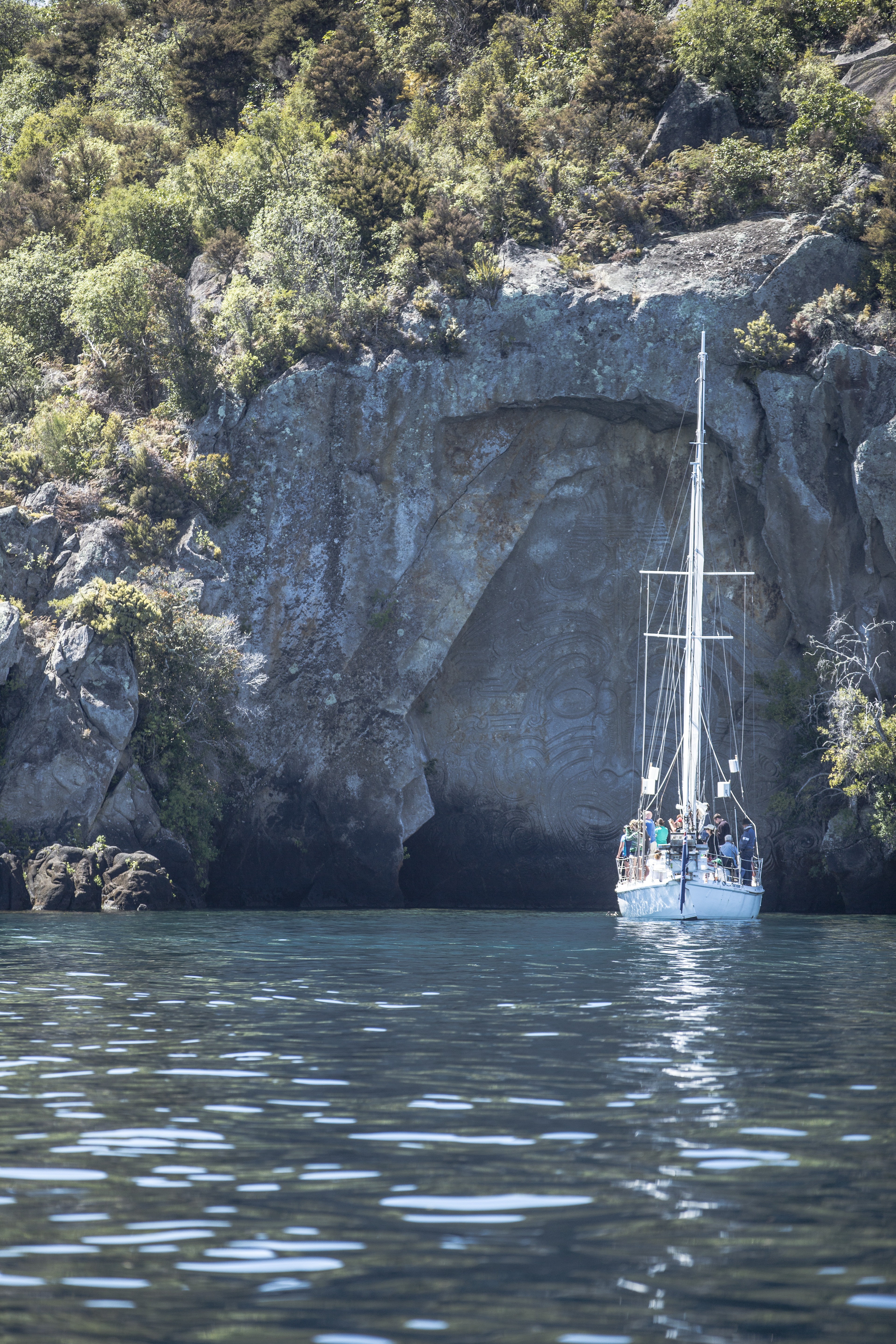 see the maori rock carvings from the lodge