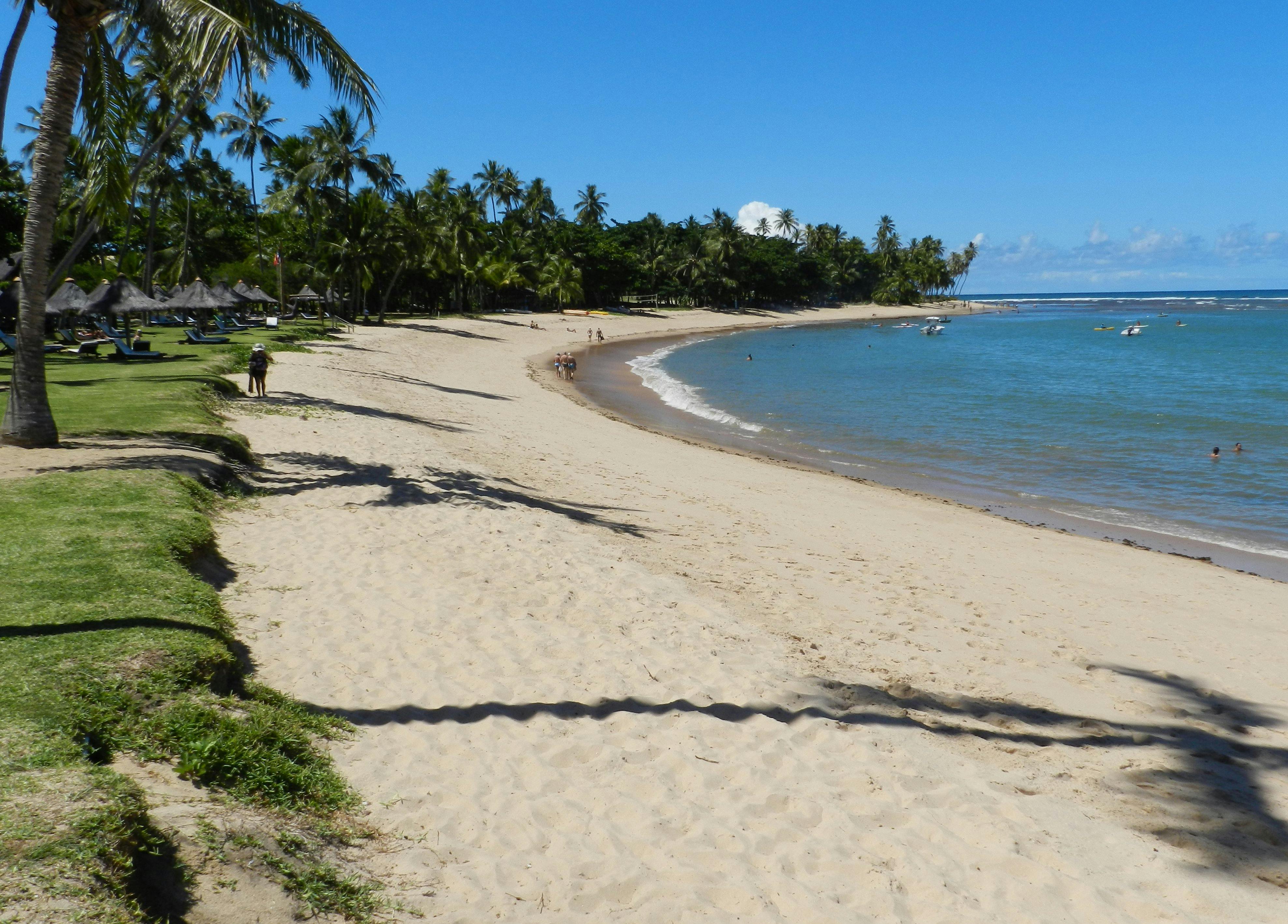 praia em Praia do Forte litoral norte Salvador Bahia