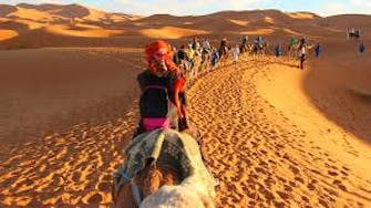 Promenade en chameau dune de Merzouga