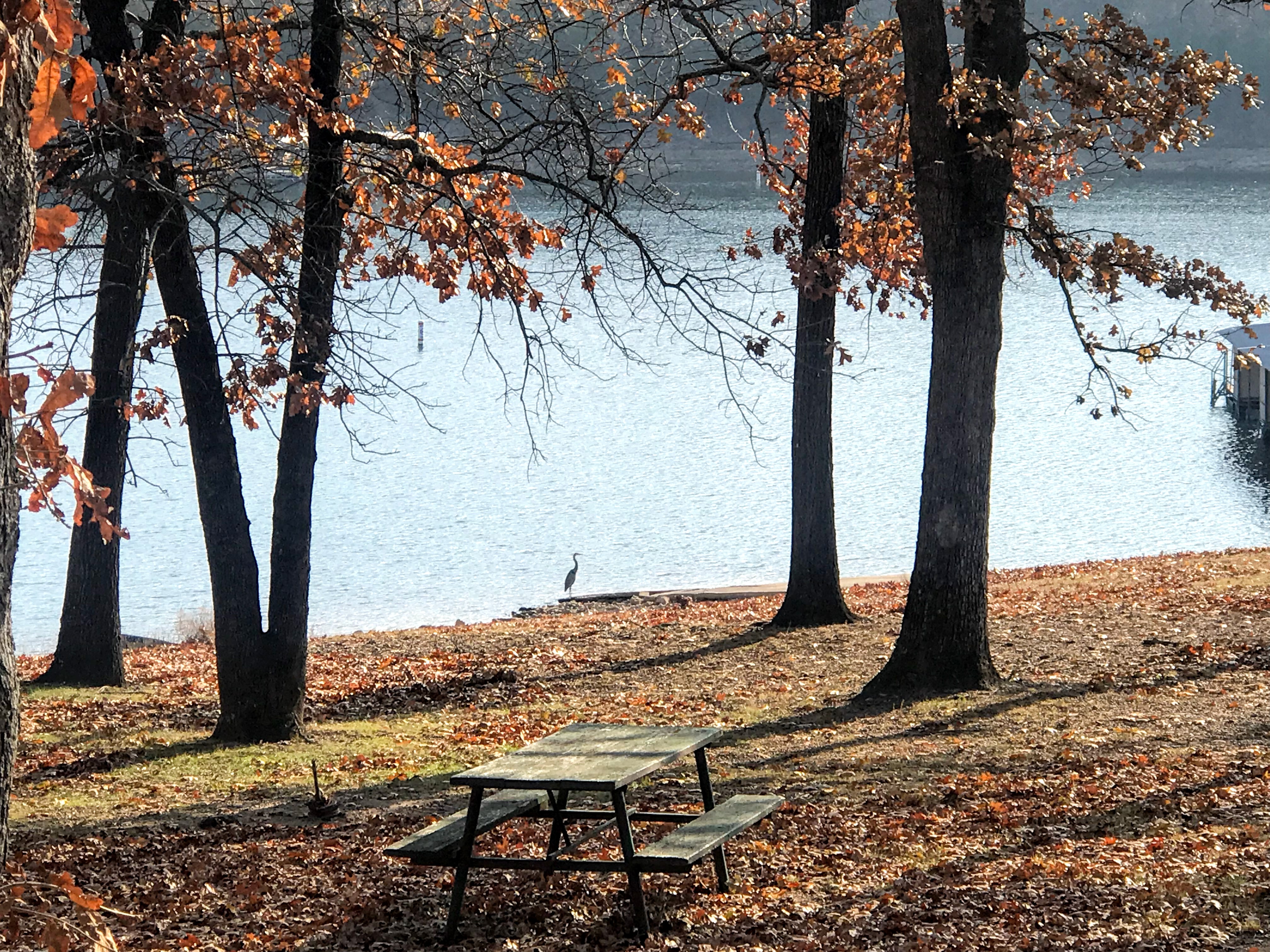 Heron at Mill Creek Resort.