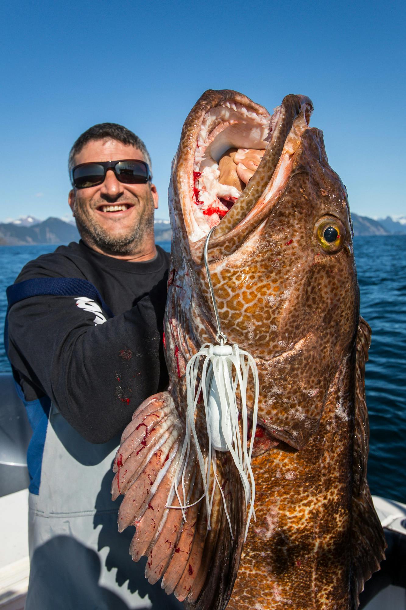 Monster ling cod catch