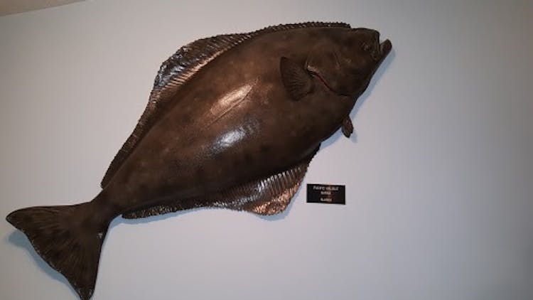 Home Bird's Nest Resort