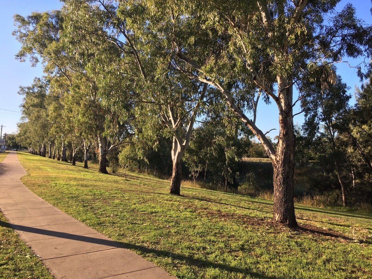 Home Quirindi Sunflower Motor Inn