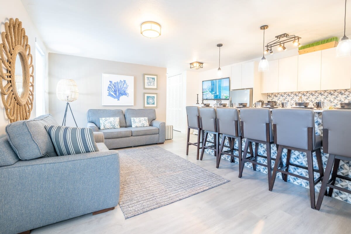 1 Bedroom Apartment