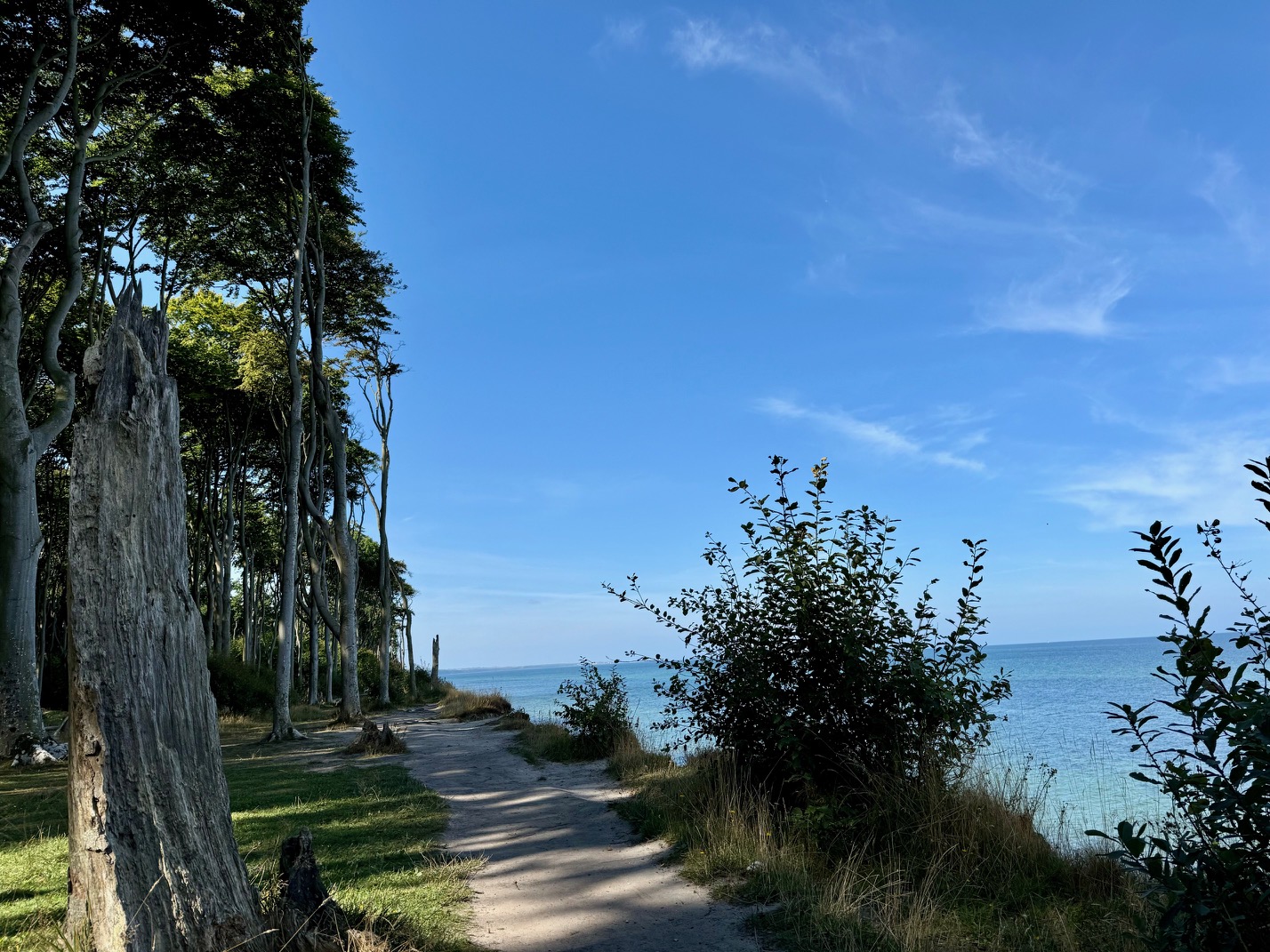 Gespensterwald & Steilküste Nienhagen