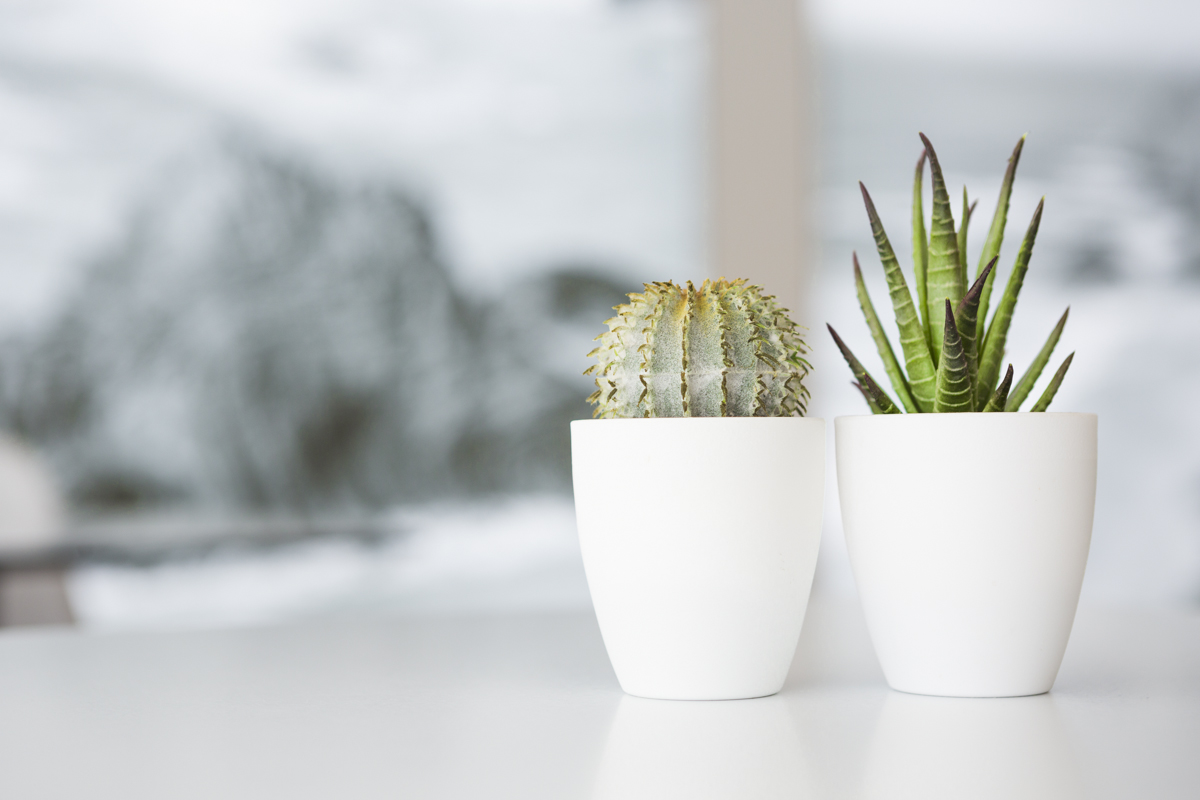 Details. Pormenores de decoração no Hotel Alcatruz na Costa Vicentina.