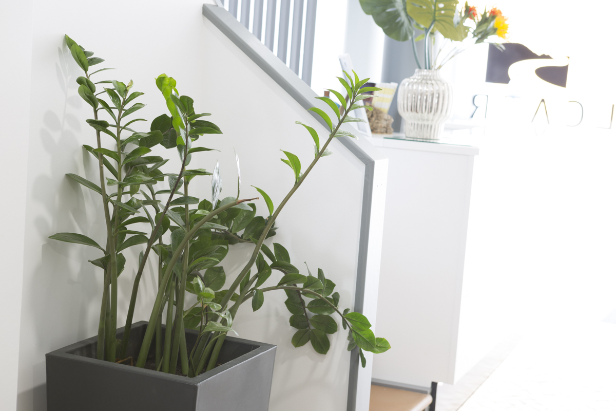 Stairs details. Pormenores das escadas do Hotel Alcatruz