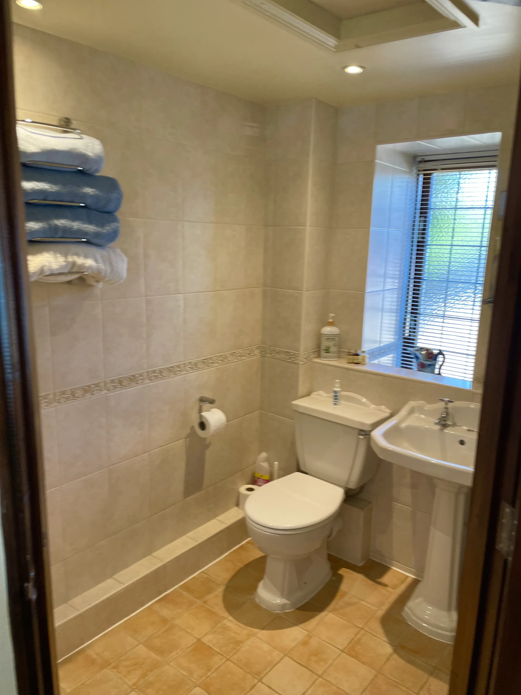 The Saddlery En-suite shower room