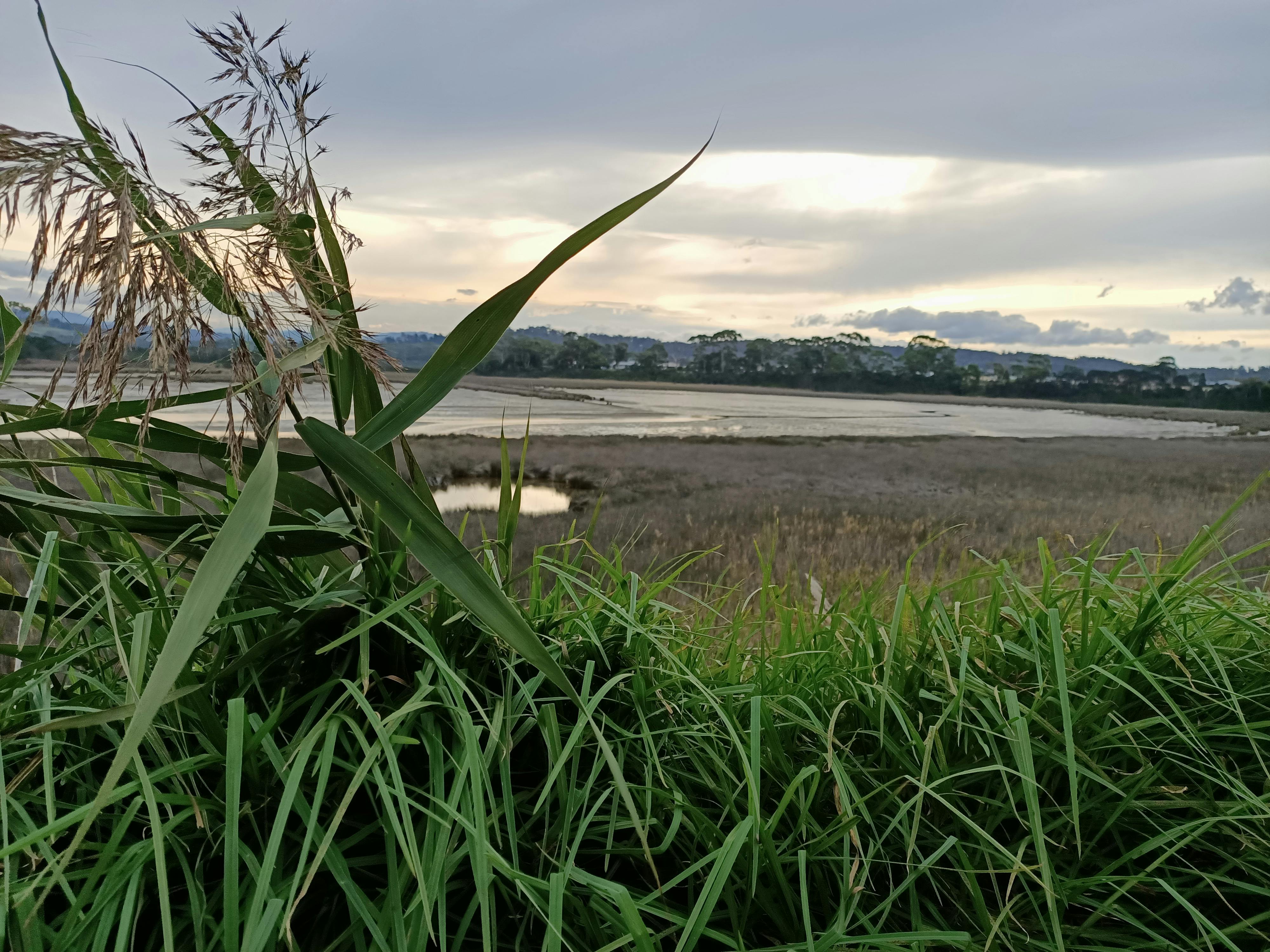 beaumaris beach