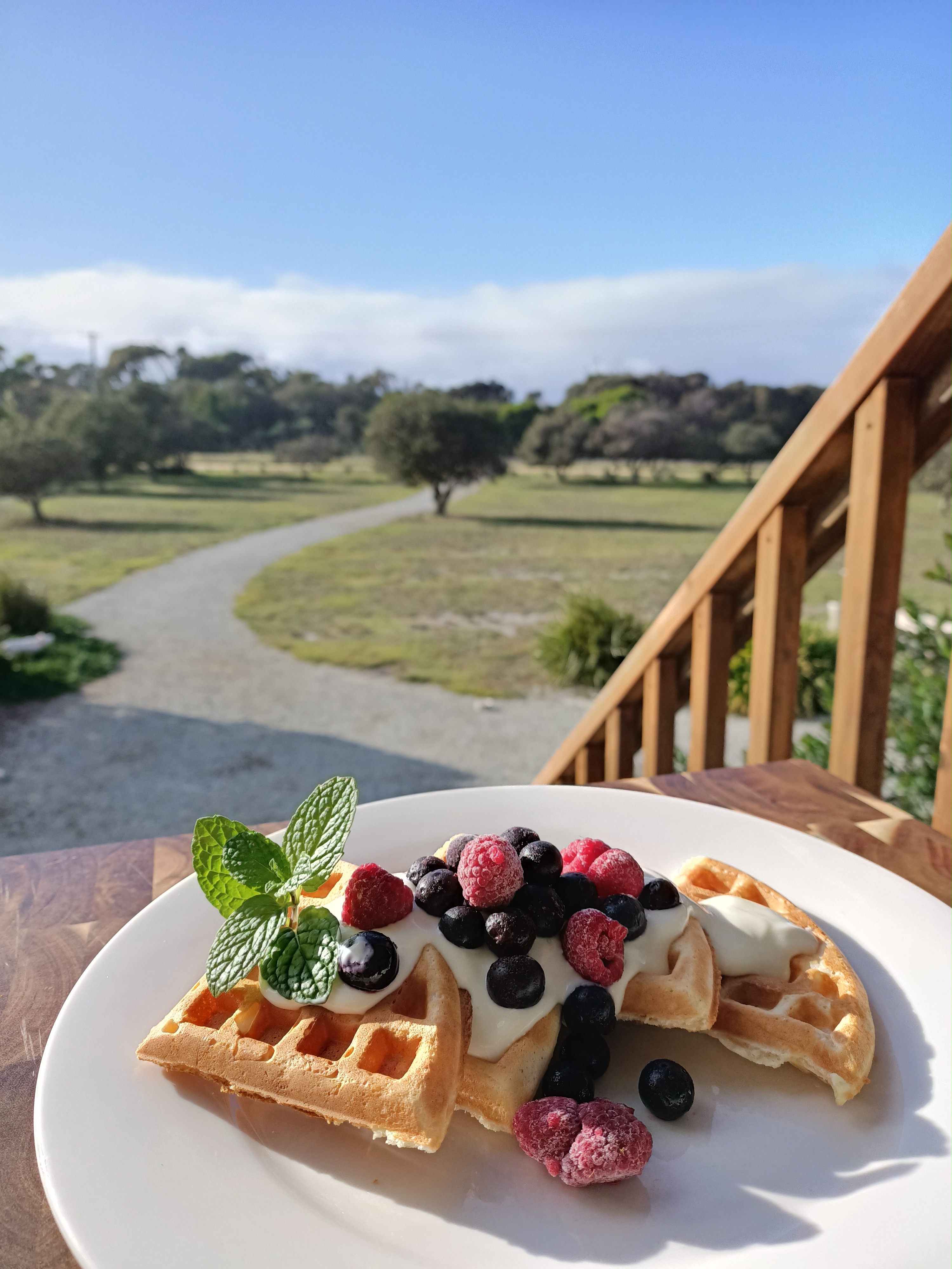 Four quarters of sweet waffle served on a white plate, splashed with whipped cream and fresh berries, with heathland garden.