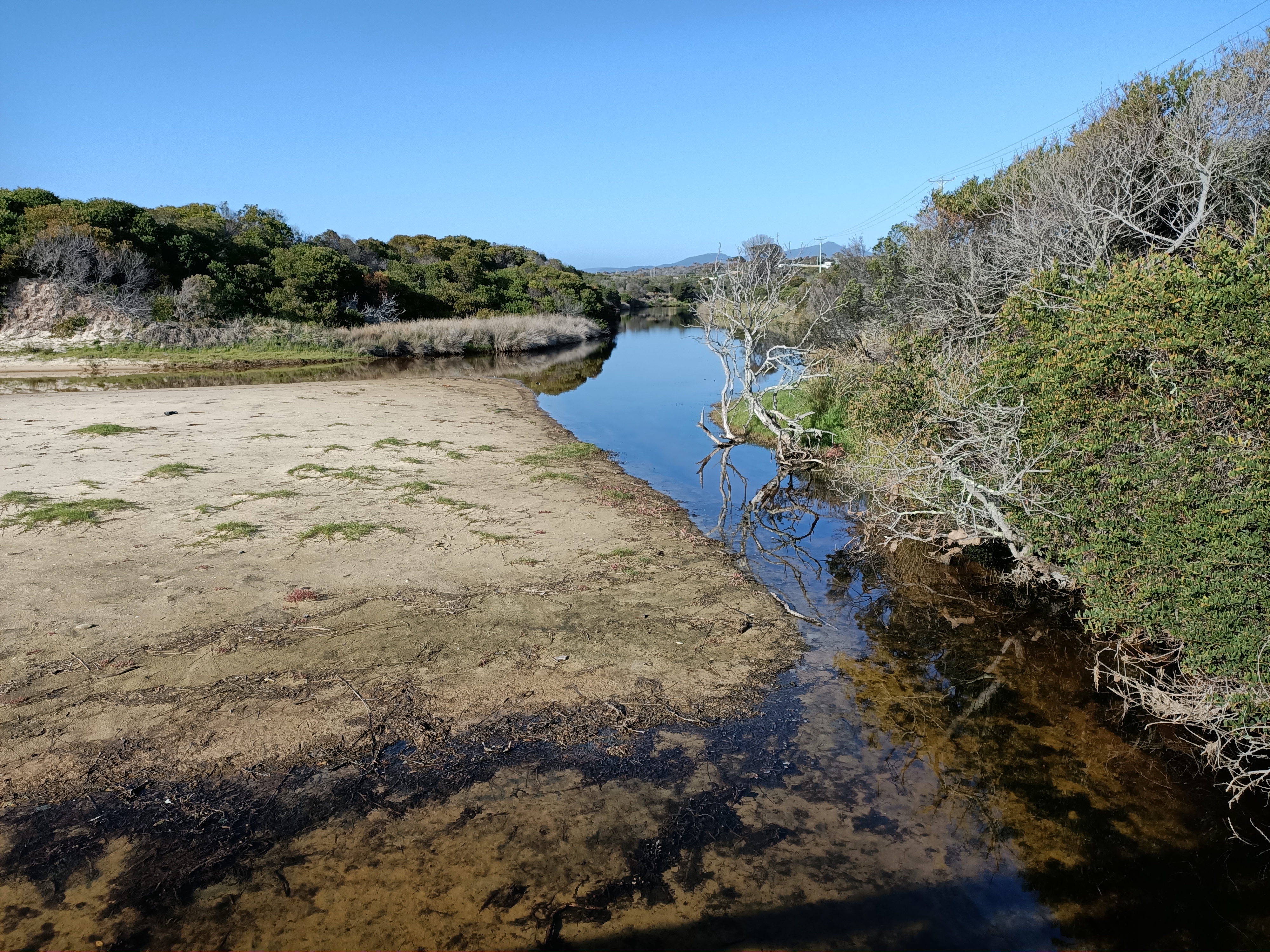 Reedy Creek passes among thick bushland under blue sky.