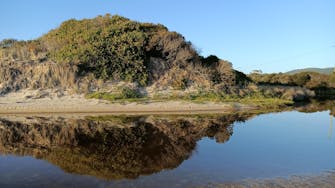 Planted sand dunes reflected in the still waters of Reedy Creek under blue sky.