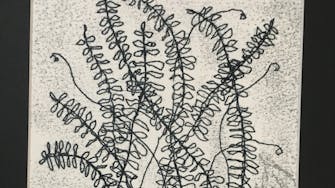 Print of plant leaves, in black ink on a white background.