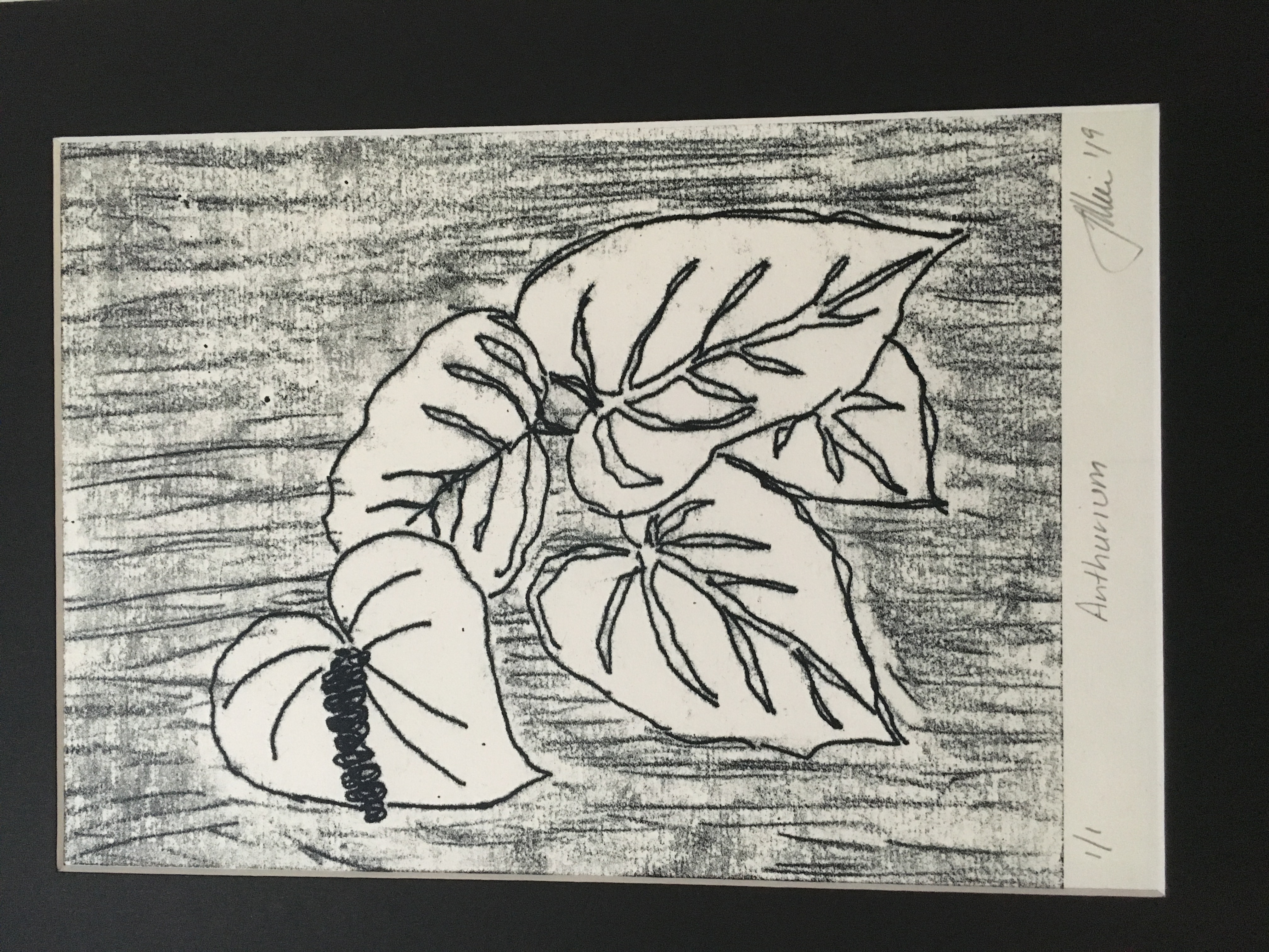 Print of plant leaves, in black ink on a white background.