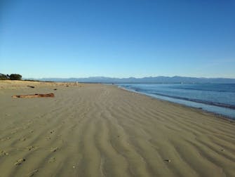 Tahunanui Beach