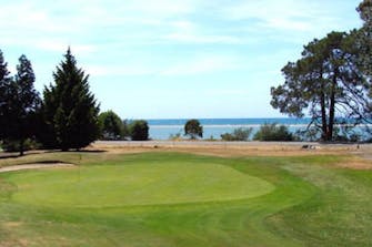Nelson Golf Courses
