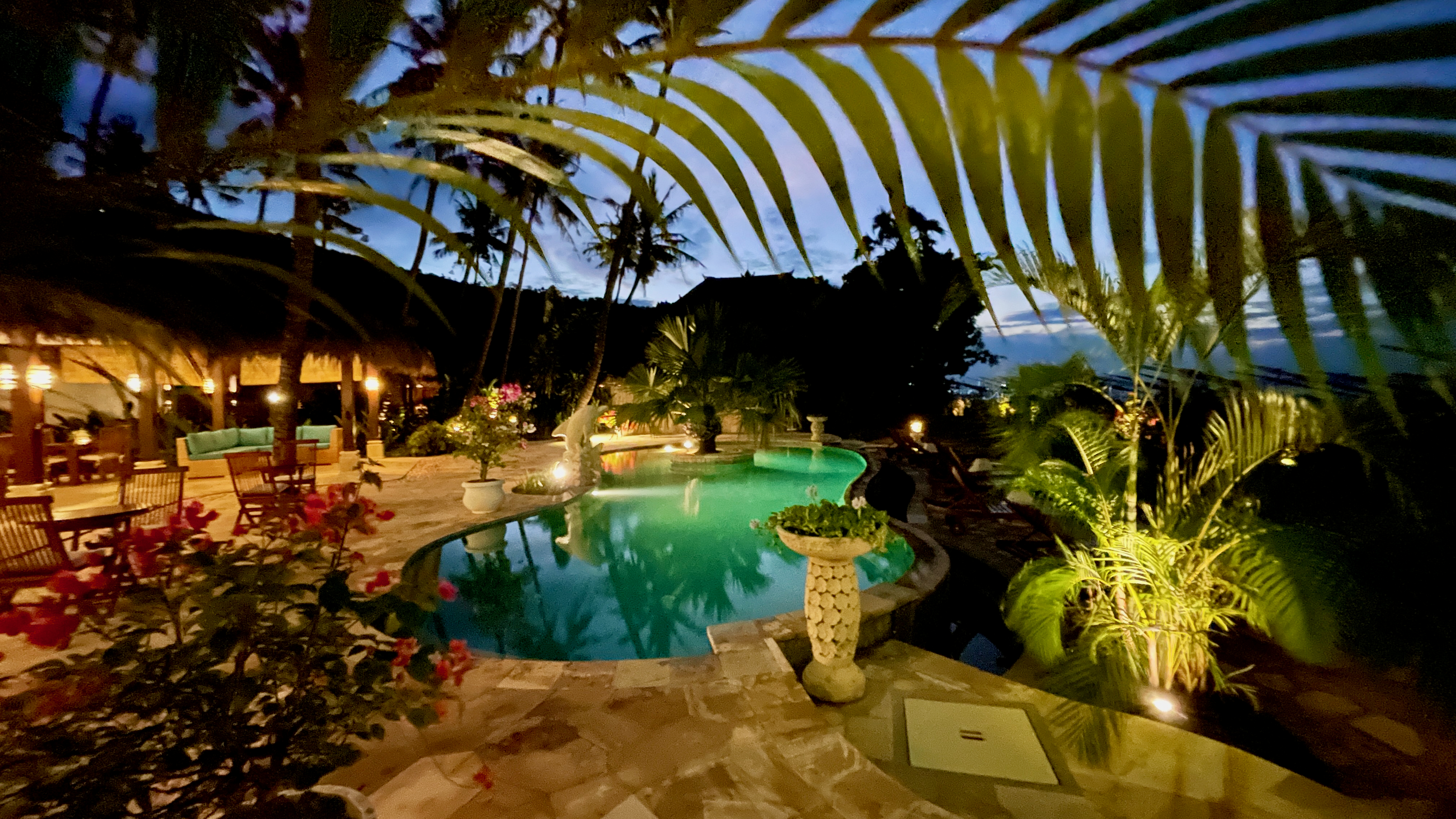 Palm Garden Amed Pool area