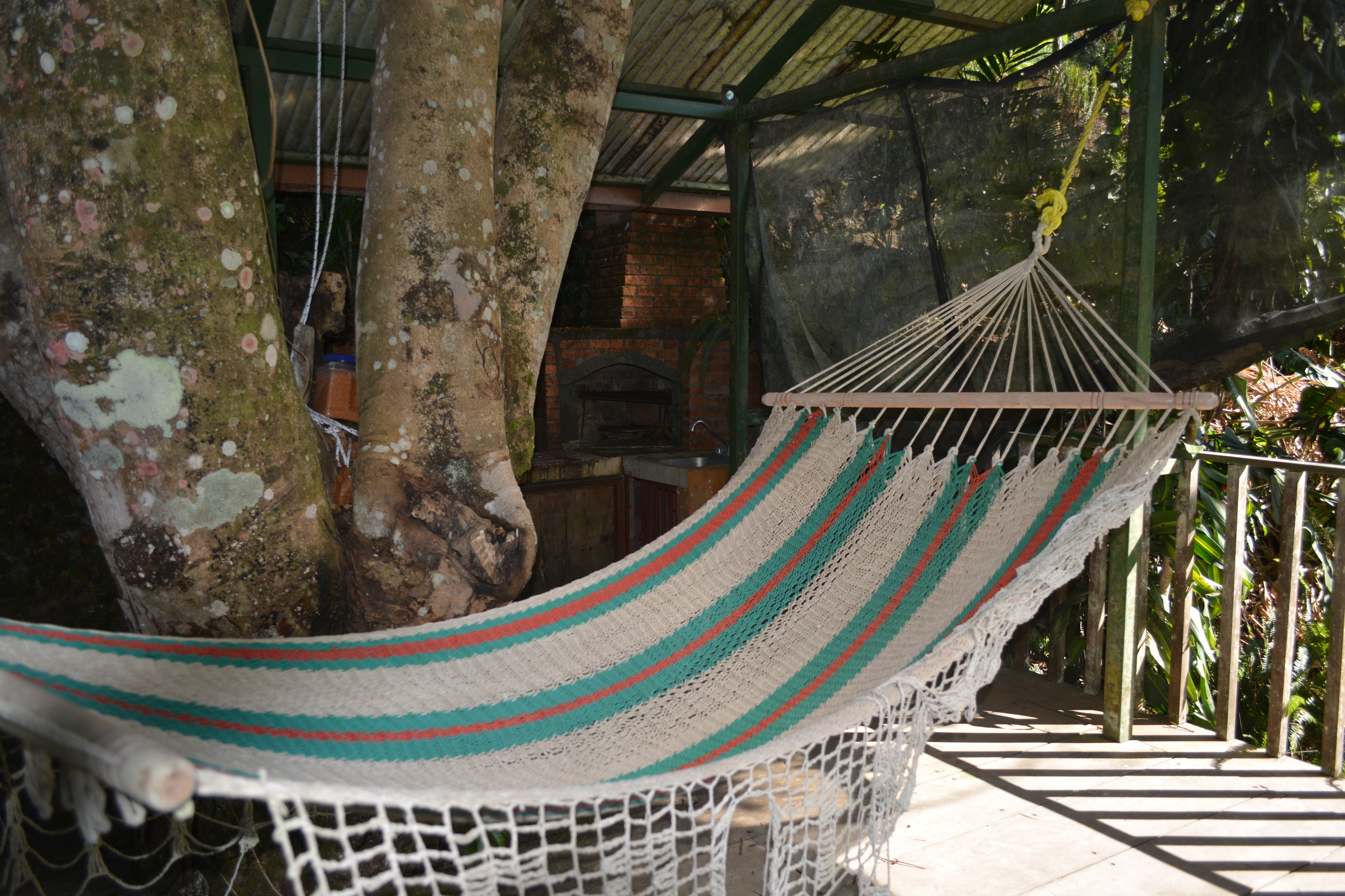 Tree House with hammock nearby the Koi pond