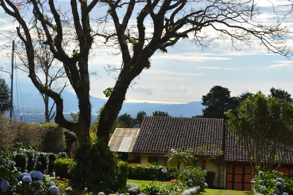 View of the Pacific Ocean in the background from the Cala Suite.