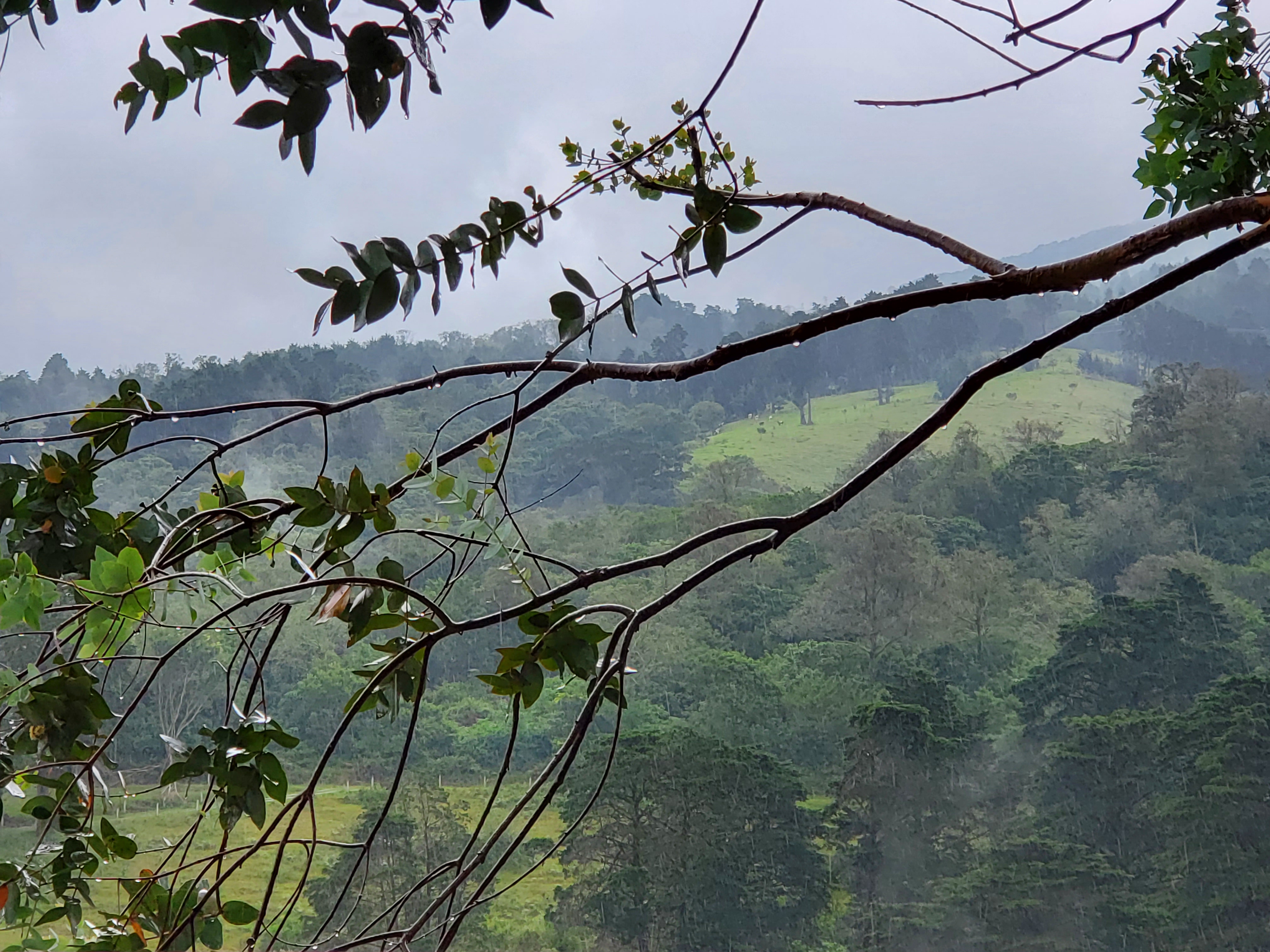View from the private balcony of the Antherium Suite