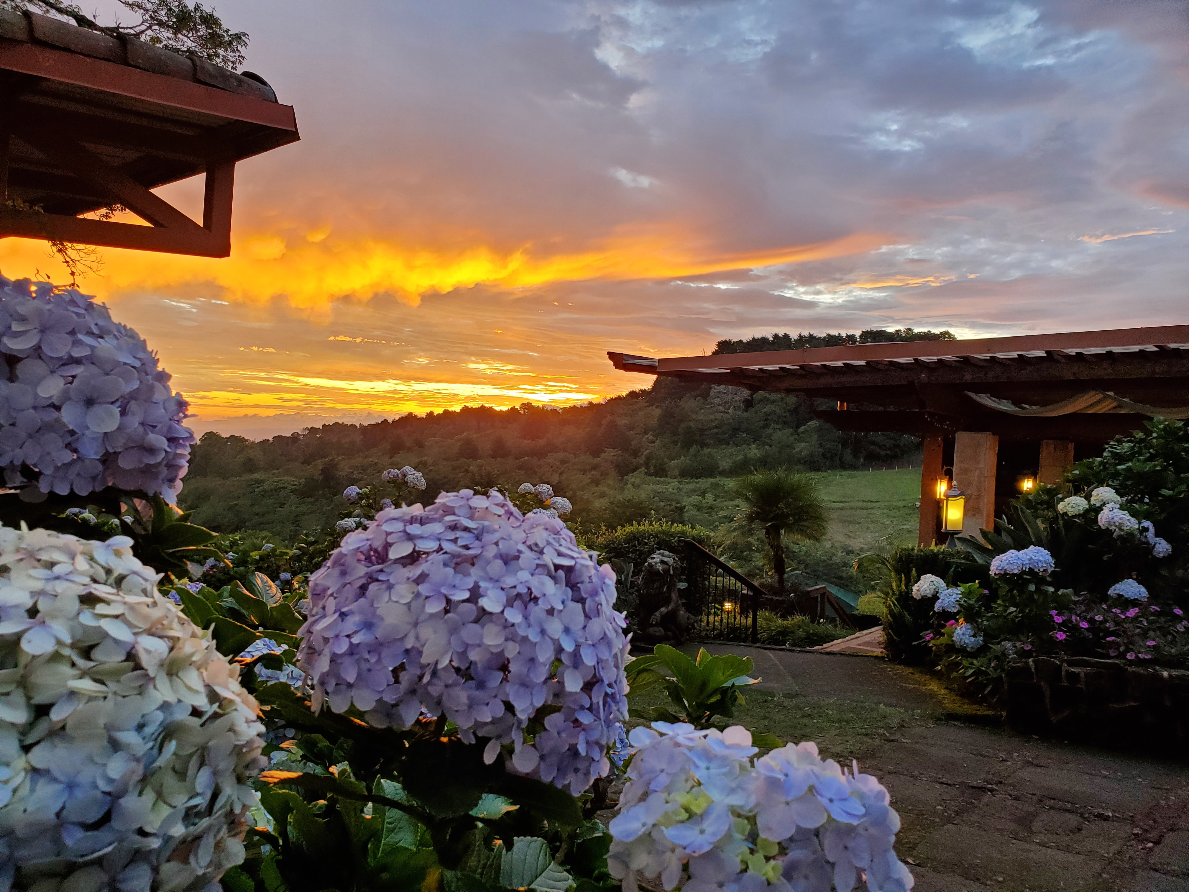 sunset view from garden