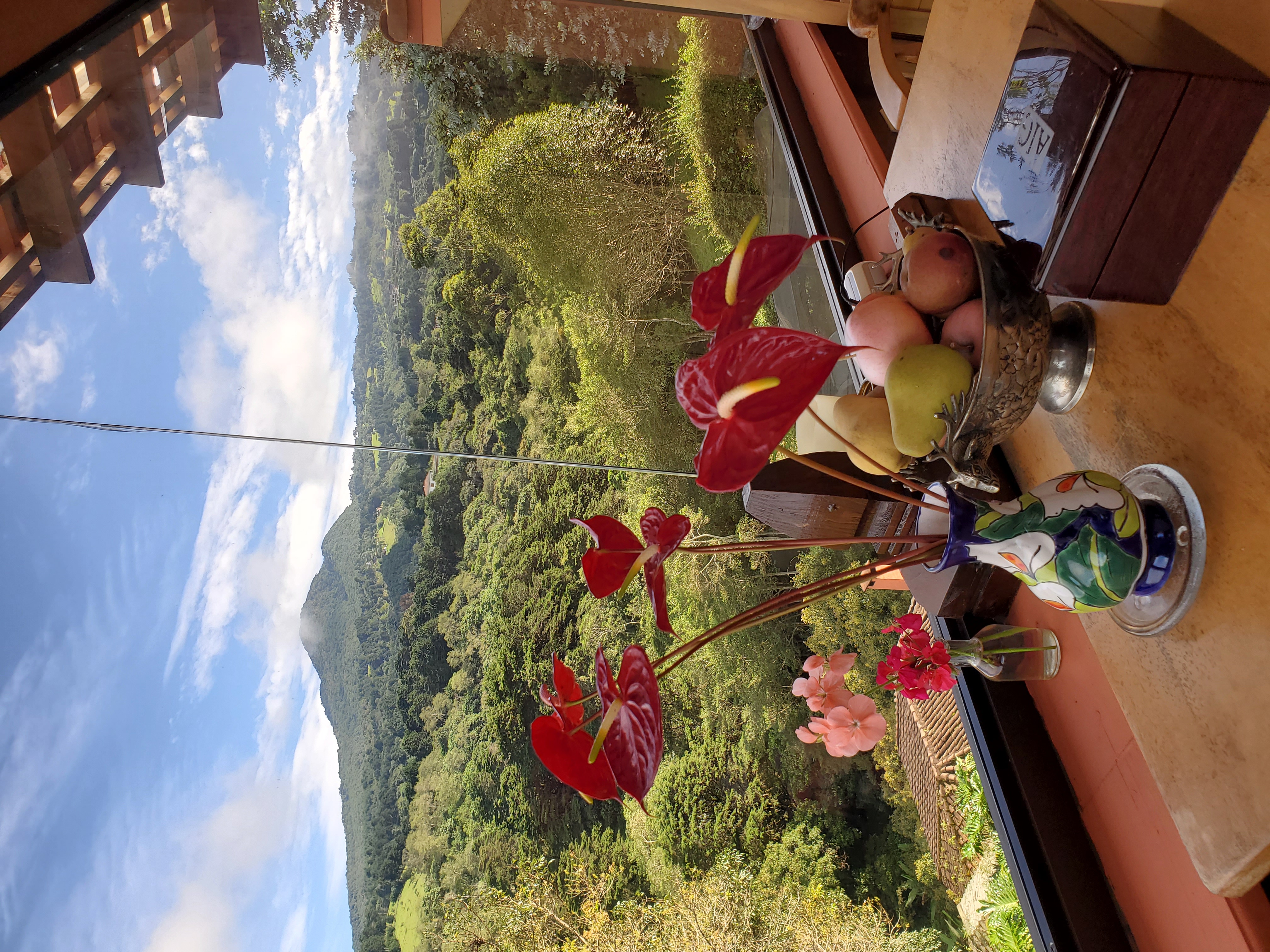 Panoramic view of natural park