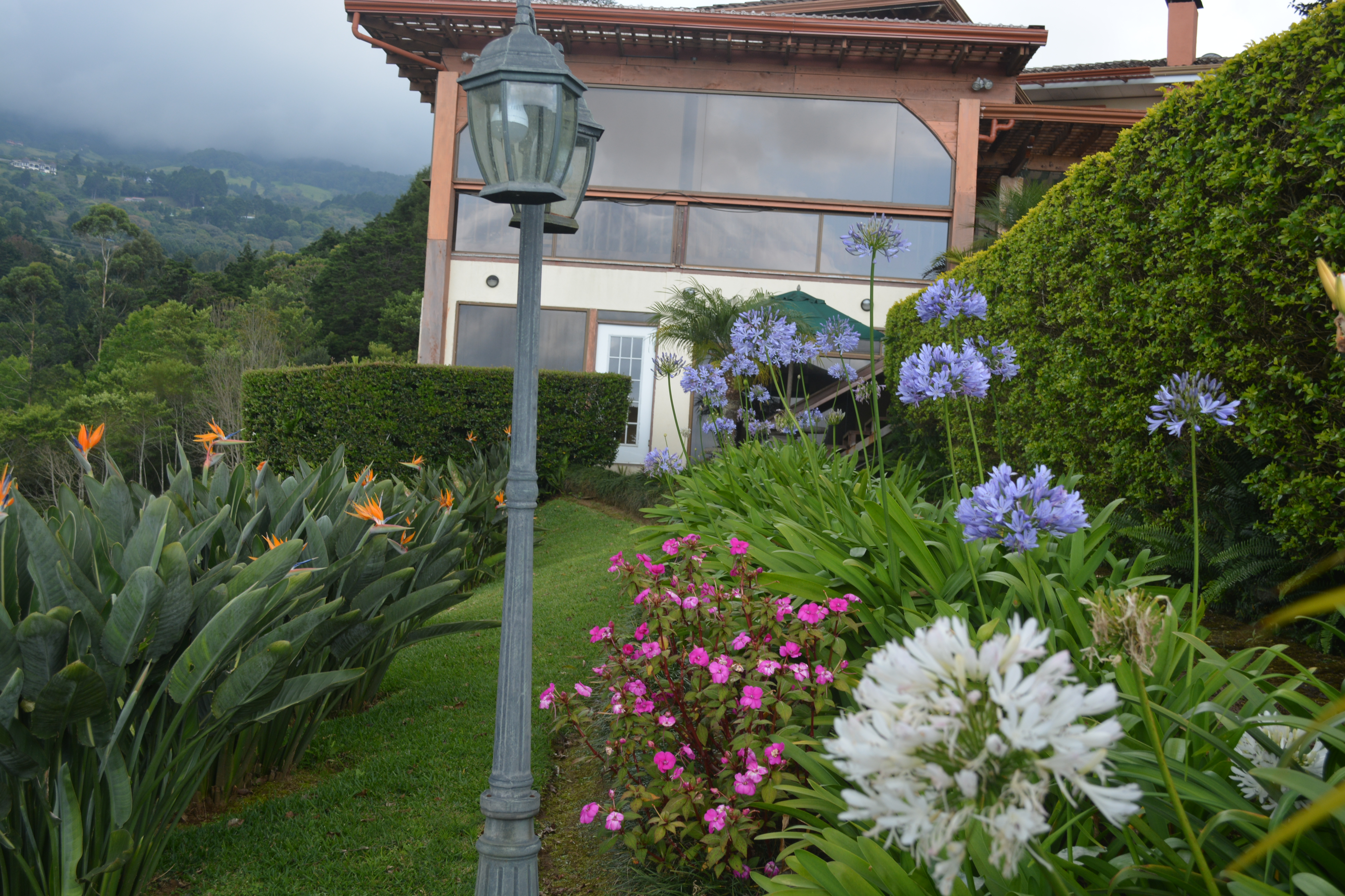 Pool area and above our breakfast lounge with spectacular views