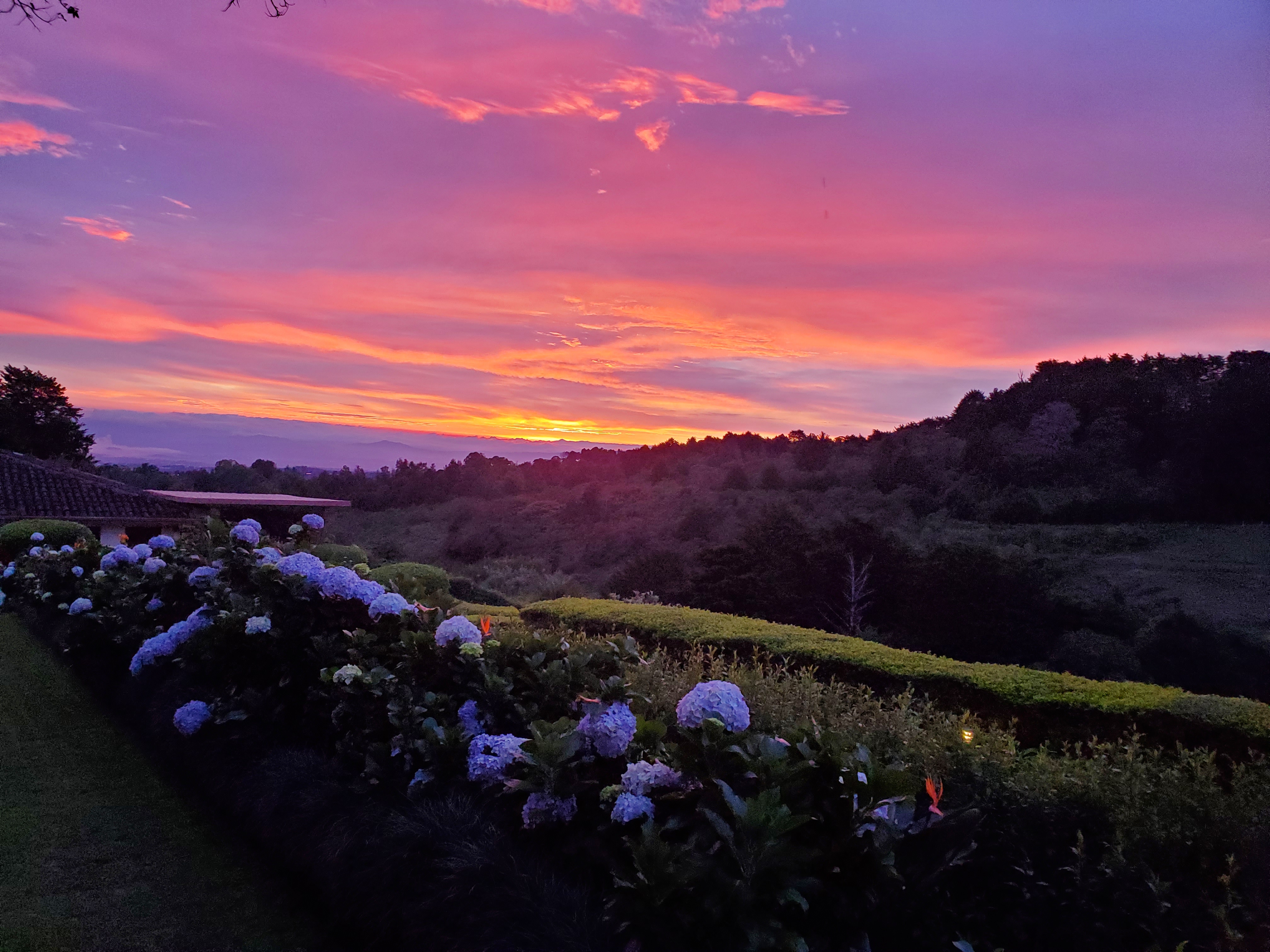 sunset view from garden