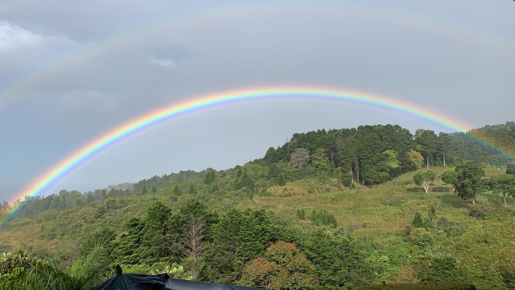 Rainbows in Paradise