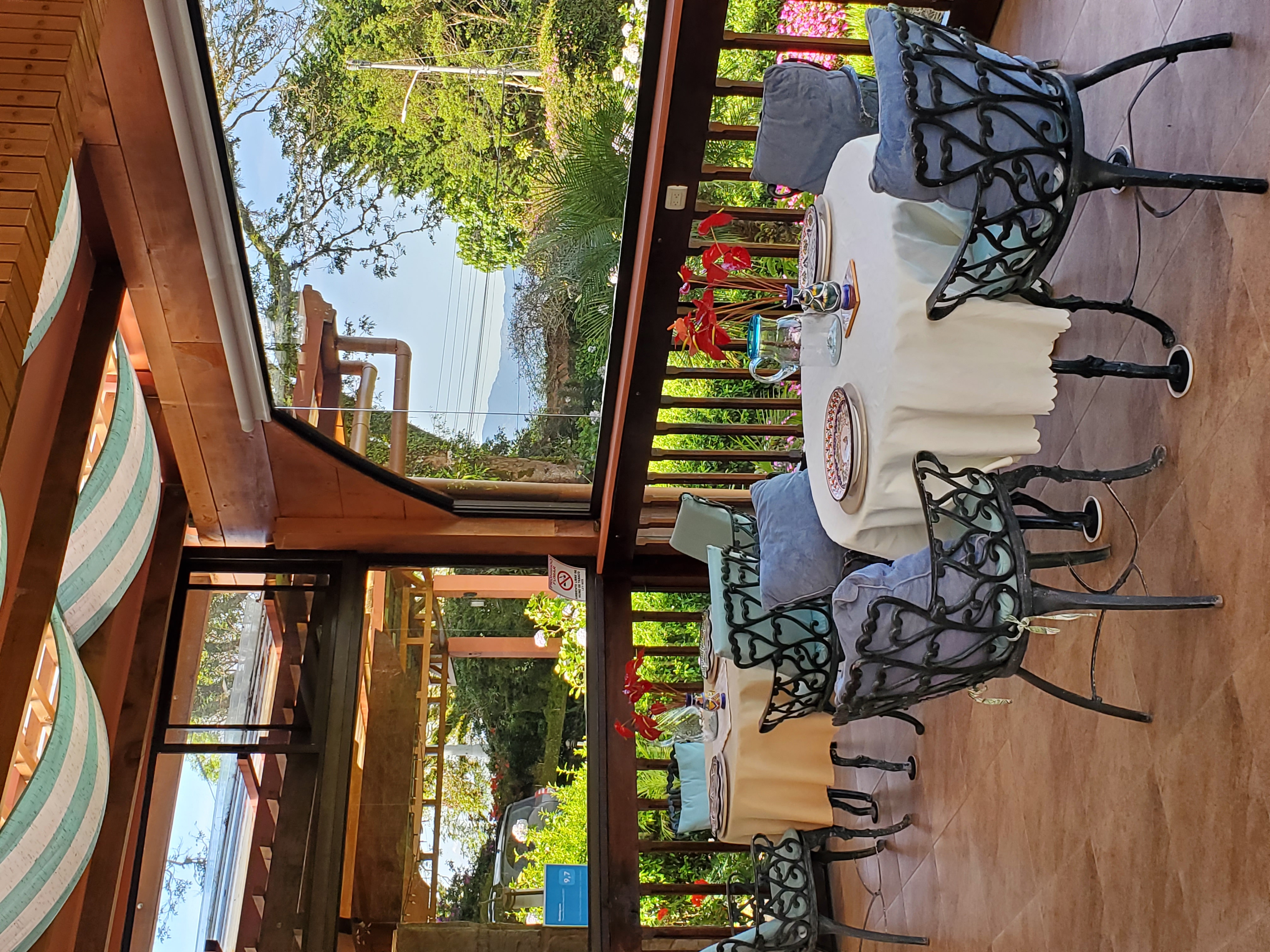 garden and parking view from dining area